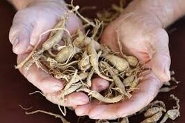 Creșterea potenței la bărbații cu mijloace naturale